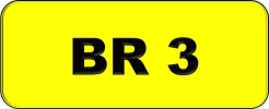 BR3 All Plate