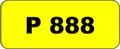 P888 All Plate