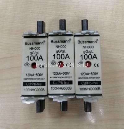 Bussmann series 500 Volts gG/gL NH Fuse links 100NHG000B