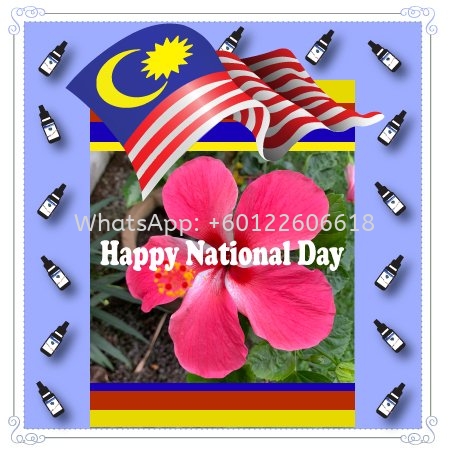 Happy National Day Malaysia August 31