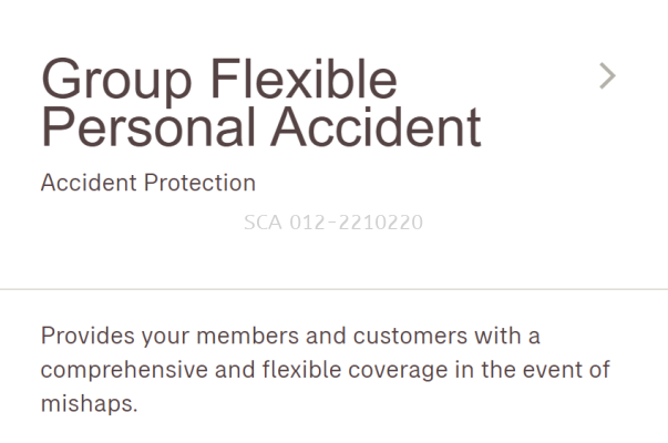 Group Flexible Personal Accident