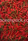 API MERAH ׽ CHILLI 