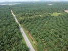 Jalan Kapar, Taman Ehsan Kuala Selangor Klang Industrial Land Land