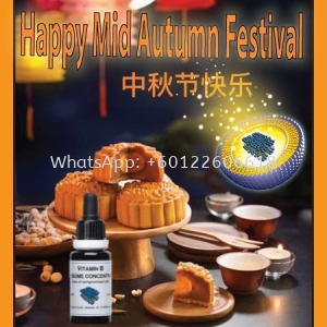 Happy Mid Autumn Festival