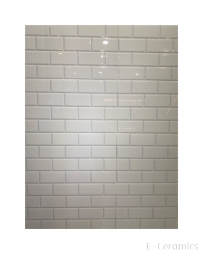 30X60CM SUBWAY TILES