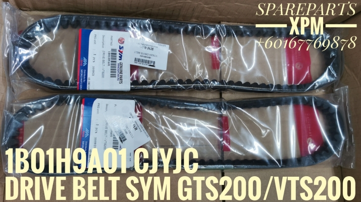 DRIVE BELT SYM GTS200/VTS200 1B01H9A01 HEEH