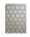 30X60CM HEXAGON WHITE WALL TILES Tiles