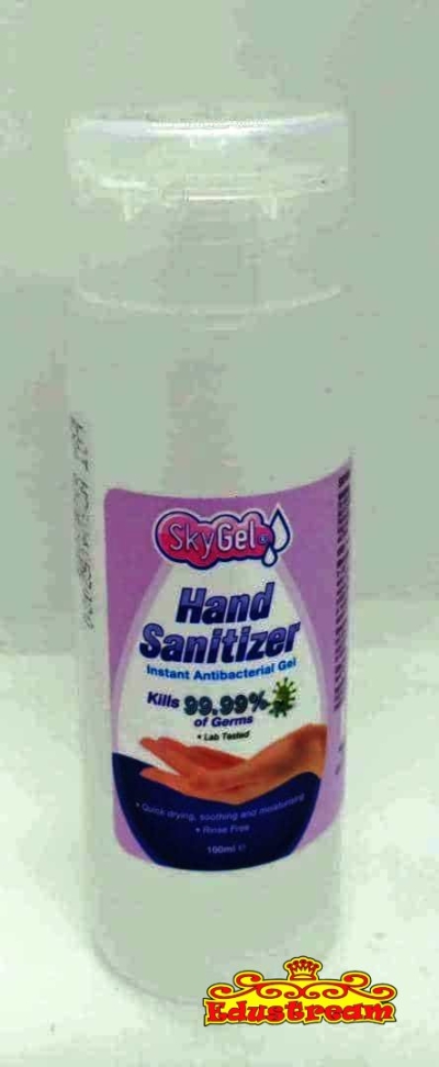 SKYGEL HAND SANITIZER GEL 75% (IPA) 100ML ( 2 IN 1 BTL )