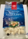 Australia Far West Scallop 20/30 (Large) IQF 1kg Pack (8pkt/ctn) Scallops (Sashimi / Non Sashimi Grade)