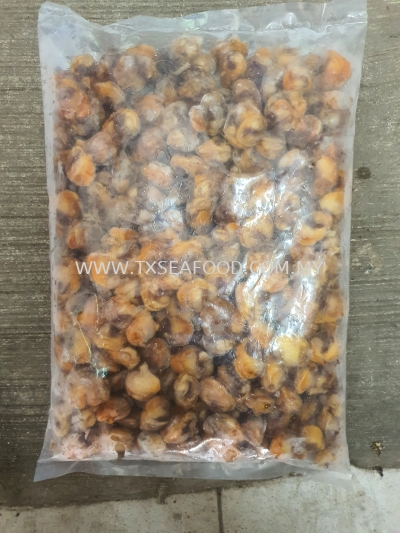 200/400 ISI KERANG (1kg)