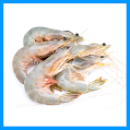 Ming Prawn/ White Prawn / Banana Prawn