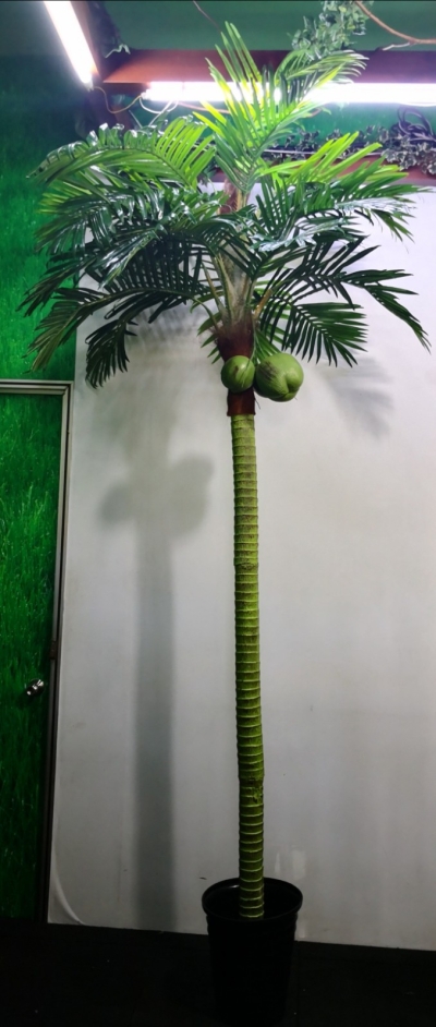 10ft Coconut Tree AP219 floristkl (Rent Available)