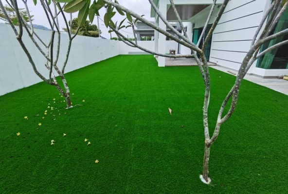 Artificial Grass