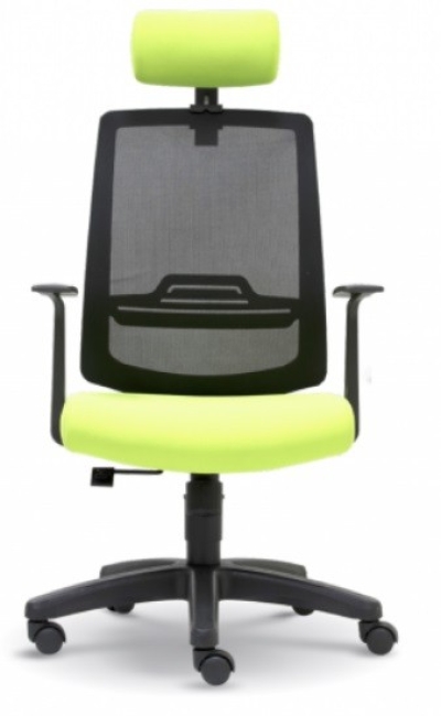 Mech Presidential high back mesh chair AIM2755E