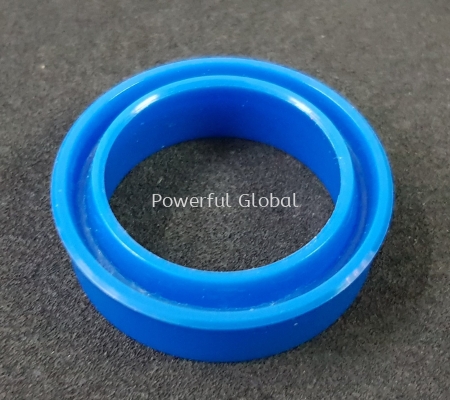 Oil Seal