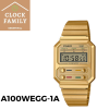 CASIO VINTAGE A100WEGG-1A DIGITAL WATCH Vintage CASIO