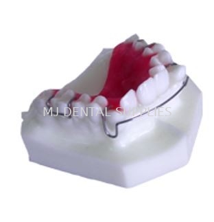 ORTHODONTIC TREATMENT TEETH RETAINER STUDY MODEL, #M3007