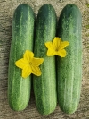 Cucumber ƹ Vegetable