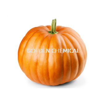 Pumpkin Extract Powder