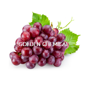 Grape Extract Powder