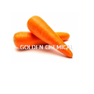 Carrot Freeze Dried