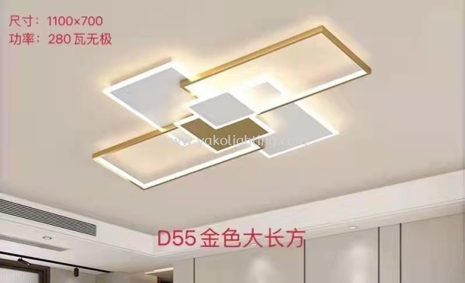 LS-D55(1100 X 700)