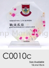 C0010C Crystal Plaque