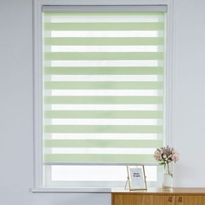 Modern Zebra Blind