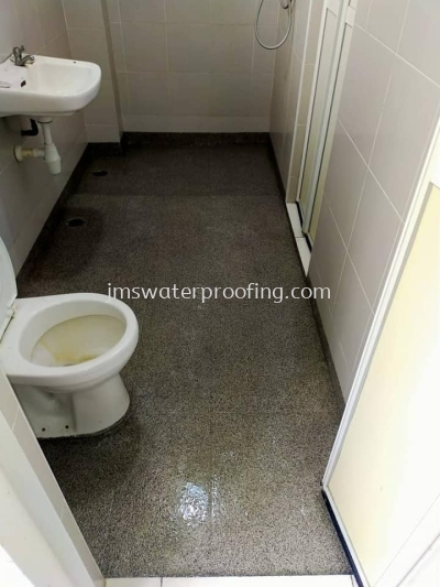 EPOXY COATING FOR TOILET