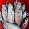 Torpedo Scad Ӳβ Fish Seafood