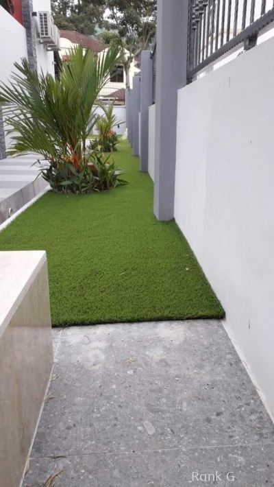 Grass Carpet