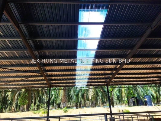 Felda bukit rokan Gemencheh 1.0mm Polycarbonate Transparent sheet