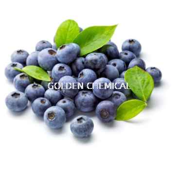 Blueberry Juice Powder