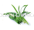 Pandan Powder Powder Vegetable Base