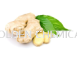 Ginger Powder Powder Vegetable Base