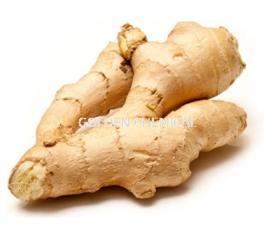 Ginger Extract Powder