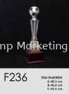 F236 Acrylic Trophy Trophy