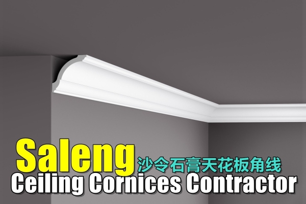 Saleng Ceiling Cornice Contractor