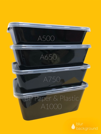 500 650 750 1000ml Rectangle Disposable Plastic Food Container [50sets+-]