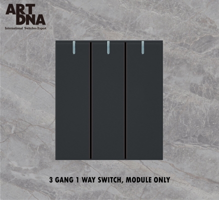 3 GANG 1 WAY/2WAY SWITCH