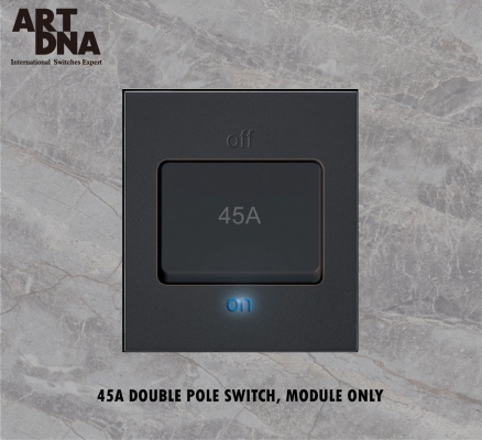 45A DP SWITCH