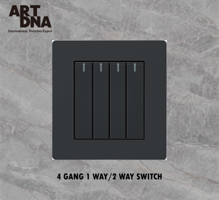 4 Gang Switch, Rocker Type