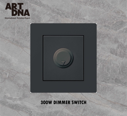 300W LIGHT DIMMER