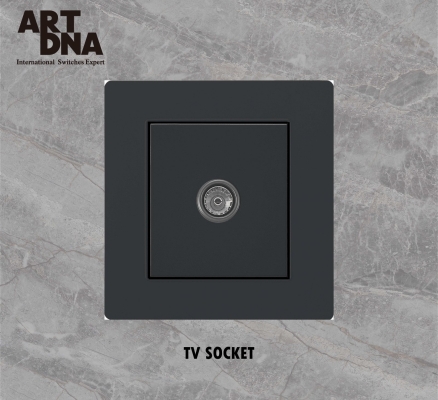 TV SOCKET