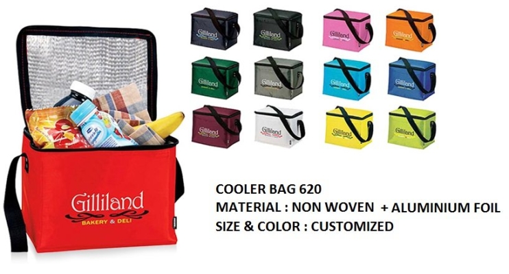 COOLER BAG 620