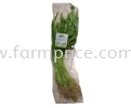 PP Kangkong/ Water Spinach PP Local Vege Pre-packed 