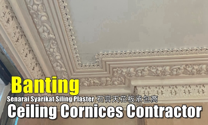 Ceiling Cornice  Banting