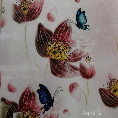 Roller Blind DL005D-1