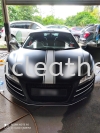 AUDI R8 POWER WINDOWS COVER SPRAY  Others