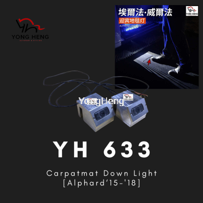 Alphard Carpatmat Down light [YH633]